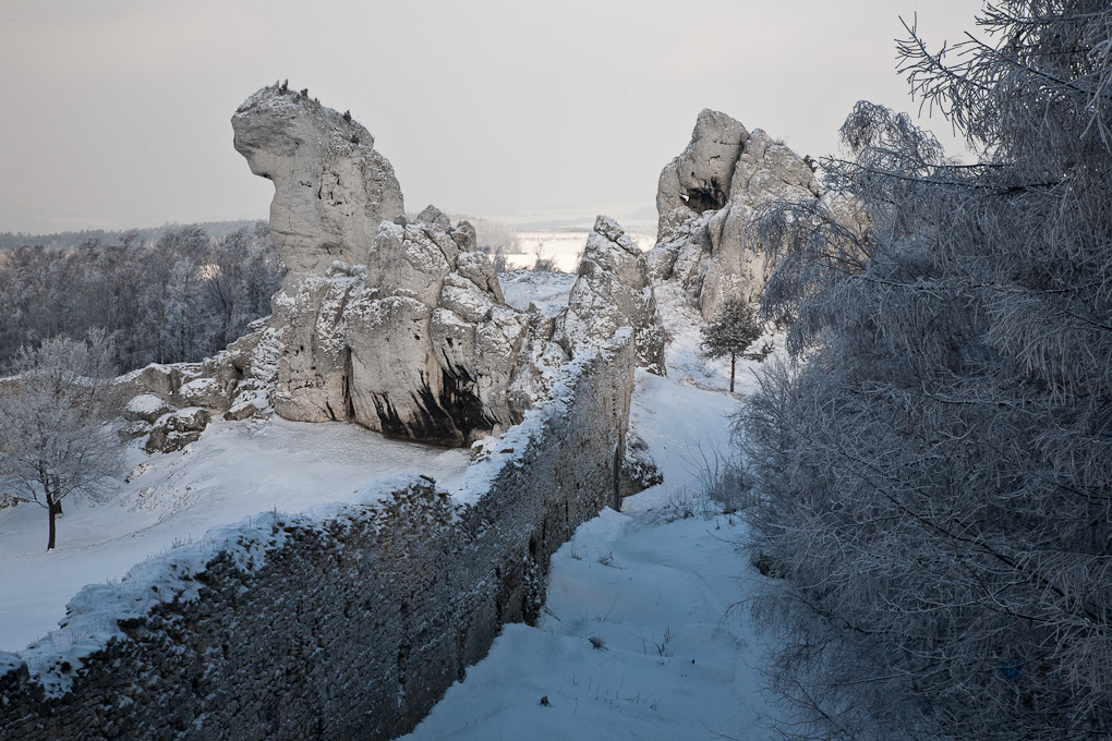 Ogrodzieniec